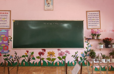 Các loại cây xanh phù hợp cho lớp mầm non