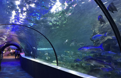 Nên cho bé vui chơi thế nào ngày nghĩ