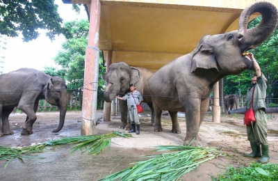 Du lịch trải nghiệm cho trẻ tại Thành Phố Hồ Chí Minh