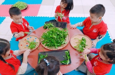 Một số chương trình trải nghiệm thực tế phổ biến cho trẻ mầm non